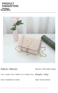 Detail of beige woven crossbody bag with gold V-hardware, chain strap, and size specs