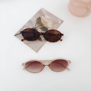 Close-up of retro oval sunglasses with tortoiseshell frames and inner leg temple code