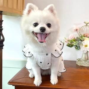 Detail of white pet dress with black heart print and ruffle sleeves on Pomeranian