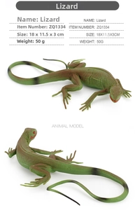 Detailed views of a realistic green lizard model showing scale texture and body dimensions