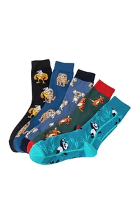 Detail shot of five pairs of cotton socks featuring eagle, sloth, koala, and panda patterns