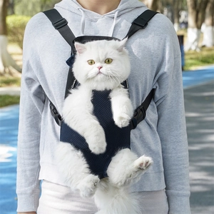 Close-up of breathable mesh front pet carrier backpack with adjustable safety buckles