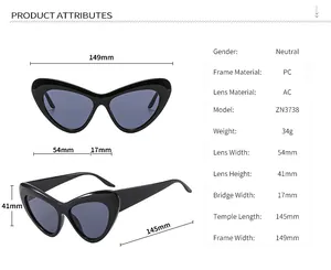 Detailed technical specifications and sizing chart for cat eye fashion sunglasses