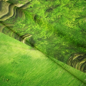 Primo piano del tessuto con stampa foresta verde che mostra la trama fitta e i dettagli