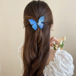 Detail of a blue chiffon butterfly hair clip styled in a delicate braided hairstyle