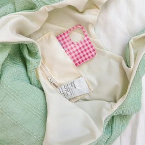 Close-up of light green tote bag interior featuring beige lining and zipper pocket