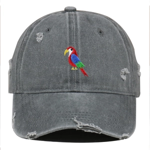 Vintage washed charcoal baseball cap with colorful parrot embroidery and distressed details