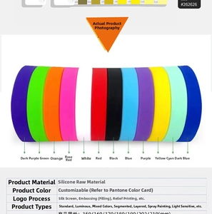 Detailed chart showing silicon wristband sizes and colors for rock music festival