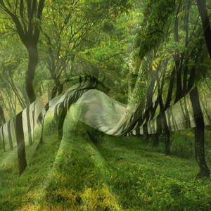 Vista dettagliata del tessuto dell'arazzo forestale con alberi verdi e trame naturali