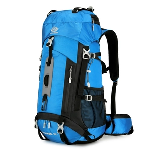 Blue 60L outdoor hiking backpack with ergonomic suspension system shown at 45-degree angle