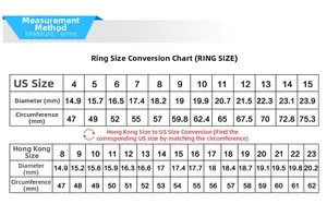 Detailed US and Hong Kong ring size conversion chart with diameters and circumferences