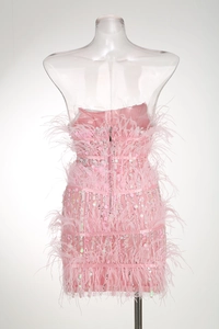 Detail of pink strapless mini dress featuring ostrich feathers and shiny sequins with back zipper