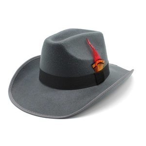 Dark grey wide brim felt fedora hat with black band and colorful feather accent