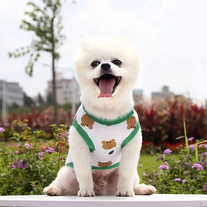 Outdoor close-up of a white pet vest with green edges and a cute cartoon bear print