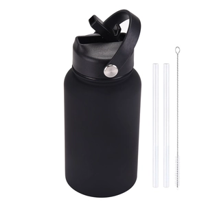 650ml matte black stainless steel sports bottle with handle, straws and cleaning brush
