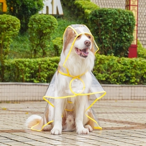 Close-up of transparent dog raincoat with yellow trim and hood for large breeds outdoors