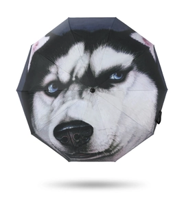Detailed top view of creative folding umbrella featuring a realistic husky dog print