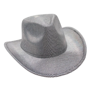 Detail of silver cowboy hat with black horizontal stripes and metallic finish