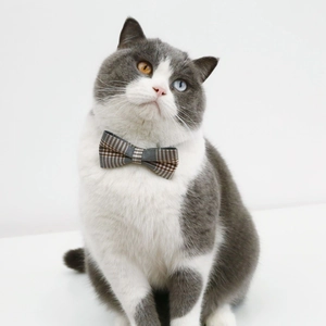 Detail of adjustable British plaid bow tie on cat neck with elegant grey-brown pattern