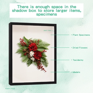 Macro view of 3cm deep black shadow box frame with festive floral botanical decor