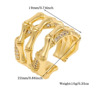 Detailed view of golden bamboo style ring with micro-pave cubic zirconia on white background