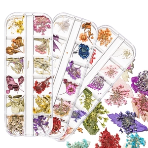12-grid box of colorful dried flowers for nail art including hydrangea and daisies