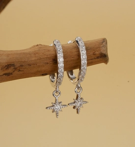 Macro shot of silver star drop earrings with white zircons hanging on a wooden branch