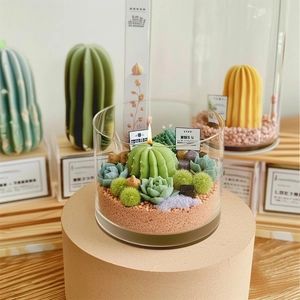 Gros plan d'une bougie parfumée succulente en verre avec texture de cire réelle
