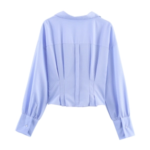 Back view of blue striped long-sleeve shirt with waist pleats and button cuffs