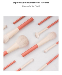 Close-up of 12-piece makeup brush set with coral handles and soft cream bristles