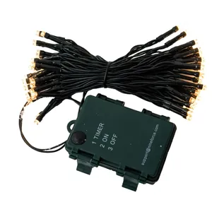 LED warm white Christmas string lights with dark green battery timer control box