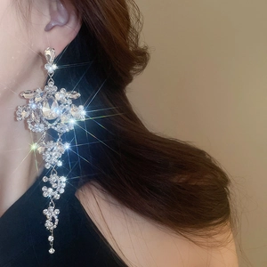 Close-up of sparkling silver tassel earrings with crystal rhinestones on a model