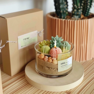 Moules bougies succulentes en pot de verre avec coffret cadeau en kraft rustique