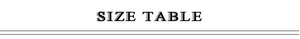 Size guide table header for long sleeve lace dress with elegant serif typography