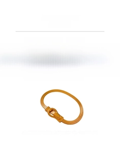 Détails de la chaîne serpent en acier titane avec fermoir magnétique et longueur 19,5 cm