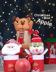 Detailed view of Christmas apple gift boxes featuring plush Santa, Snowman and Reindeer