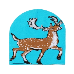 Detailweergave van turquoise gebreide muts met feestelijk rendier jacquardpatroon