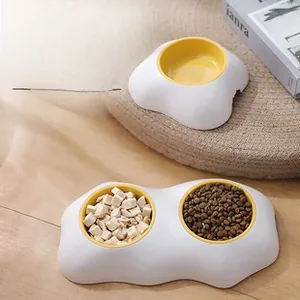 Vue détaillée des bols pour animaux en forme d'œuf avec croquettes sur un tapis tressé