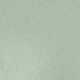Detailed macro texture of light green fabric showing the material of the V-neck blazer