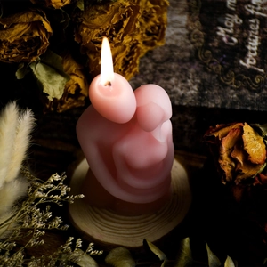 Pink abstract romantic couple hug candle lit on wooden base with dried roses decor