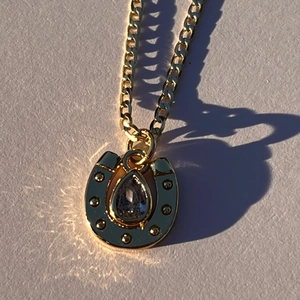 Collana con pendente a ferro di cavallo vintage in acciaio inossidabile placcato oro 18K
