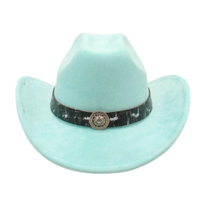 Detail of light blue felt cowboy hat featuring a silver lion head emblem on dark band