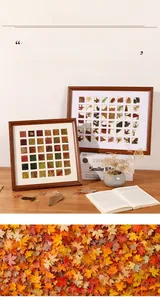 Detail of DIY fallen leaf specimen frame with wooden grid and autumn foliage