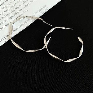 Detailed shot of silver twisted hoop earrings on black velvet with a high-gloss finish