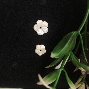 Five-petal flower carved shell beads for jewelry making in two different sizes