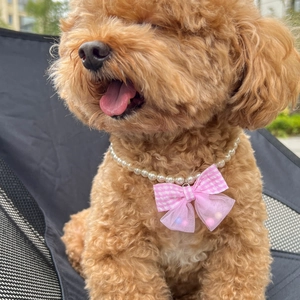 Close-up of pink plaid bow and pearl necklace accessory on a brown poodle dog