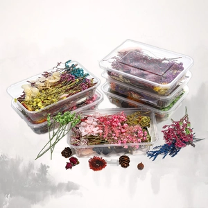 Assorted colorful dried flowers and pine cones in transparent boxes for DIY floral crafts
