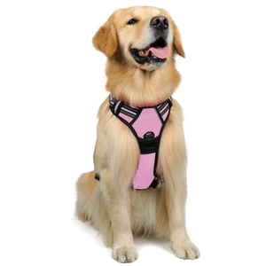 Close-up of bright pink breathable mesh dog harness with reflective strips and metal D-ring