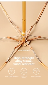 Macro view of wind resistant high-strength alloy umbrella ribs with golden finish