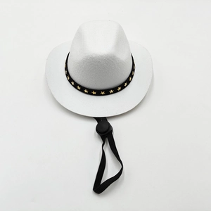Top view of white western cowboy hat with gold star hatband and adjustable black drawcord